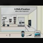 I-DNA-fication