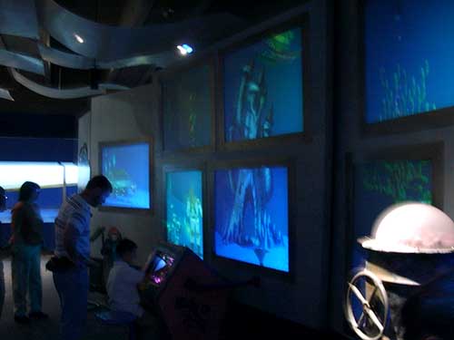 virtual aquarium